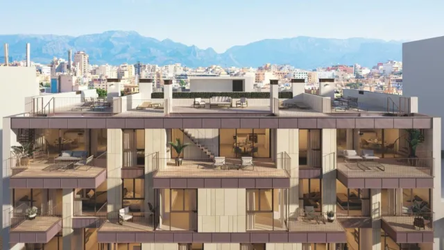Insula