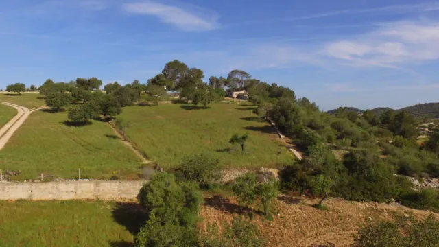 Casa Son Macia