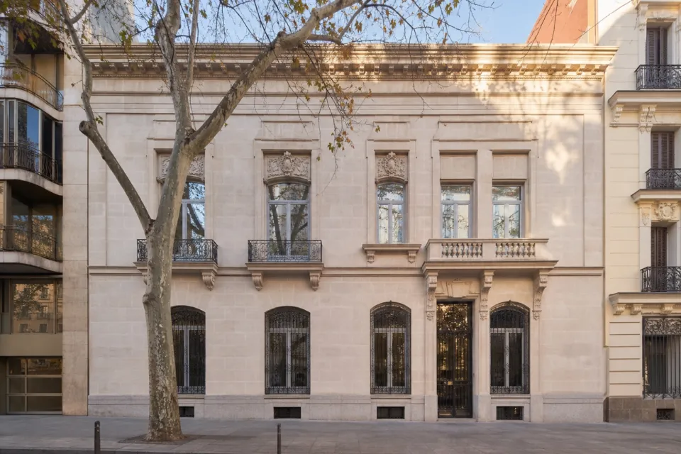 Duplex Olivo