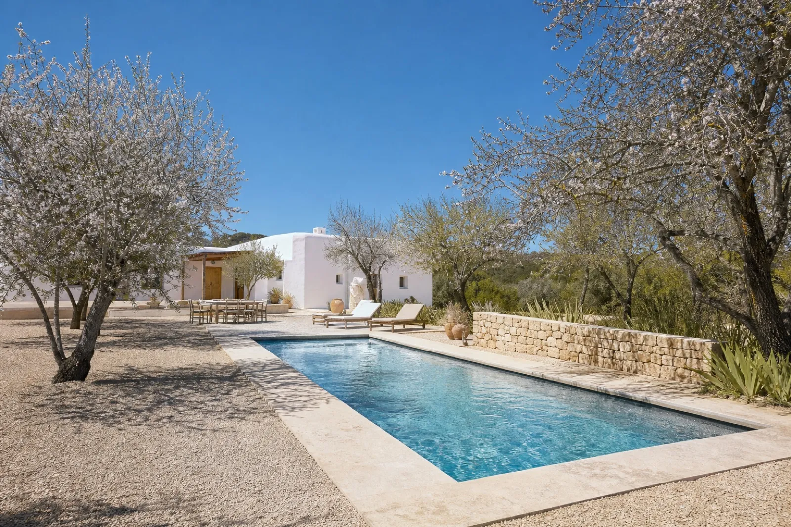 Finca Vela — photo 1