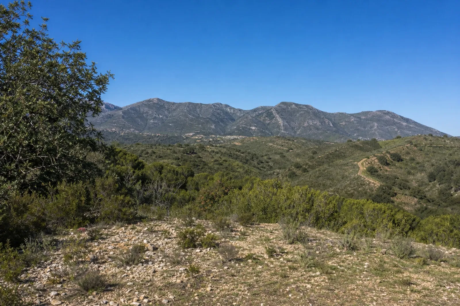 Parcela urbana con vistas panorámicas al mar en Estepona — foto 1