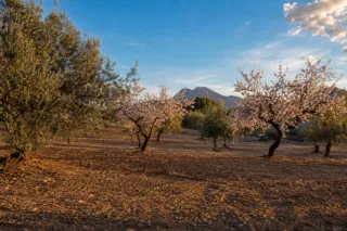 Parcela urbana en Javea
