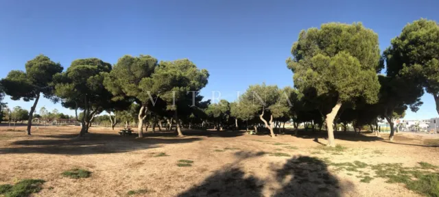 La Pinada