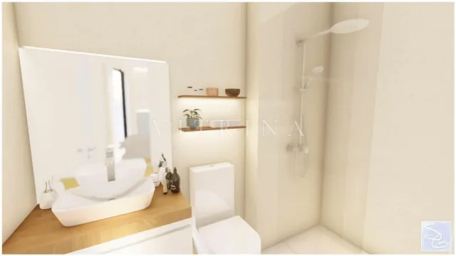 Senador Castillo Olivares