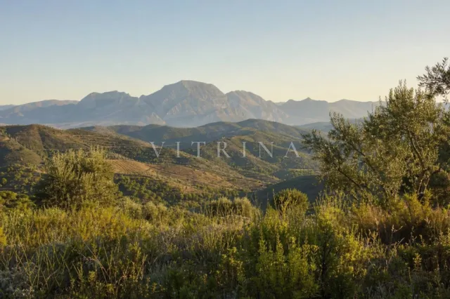 Urban plot in Estepona — listing.photo 3